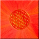 Druck auf Leinwand 06 --- "Lebensfreude" --- Goldfarbene Blume des Lebens auf rot-orange farbenem Hintergrund