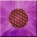 Druck auf Leinwand 05 --- "Transformation" --- Goldfarbene Blume des Lebens auf zart lila farbenem Hintergrund