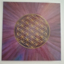 Goldfarbene "Blume des Lebens" auf lila/violettem Hintergrund (strahlend zulaufend) - Laminierter Druck